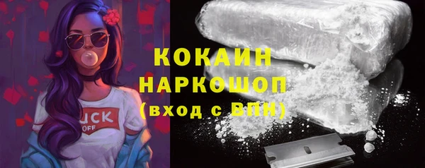 дмт Верея