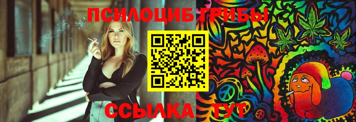 Псилоцибиновые грибы Cubensis Выкса